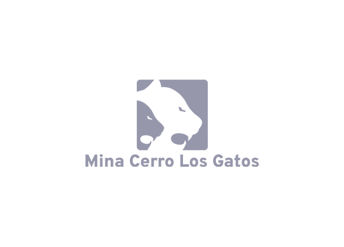 minra gatos